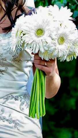 Gerber Daisy Hand Tied Bouquet