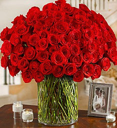 Premium Long Stem Roses