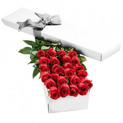 Elegant Boxed Two Dozen Roses