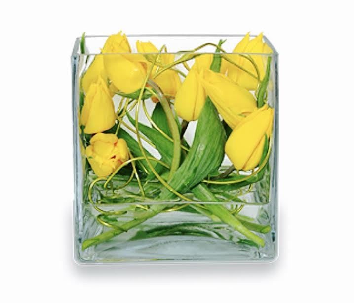 Tulips-A-Twirling