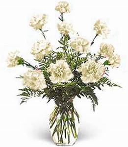 Dozen White Carnation