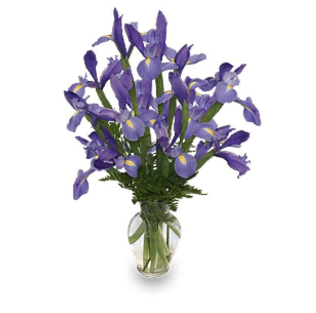 Iris Vase