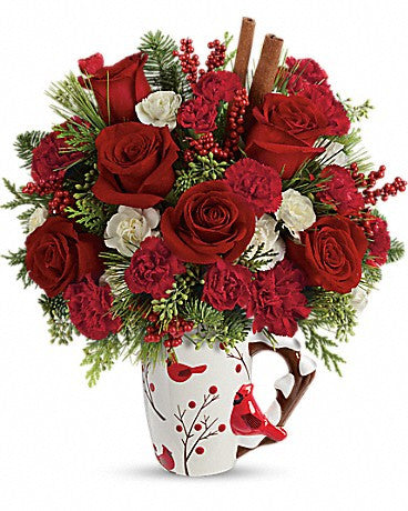 Enviar un abrazo Cardenal de Navidad