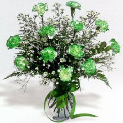 St. Patrick Dozen Green Carnations