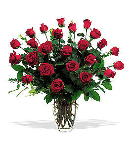 2 Dozen Roses