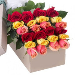 Dos Docenas de Rosas Elegantes en Caja