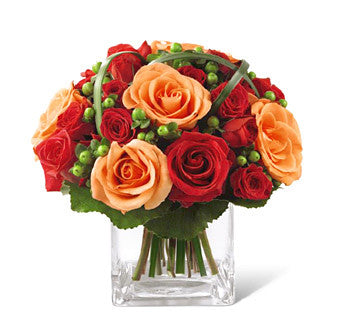 Emociones profundas de Better Homes and Gardens