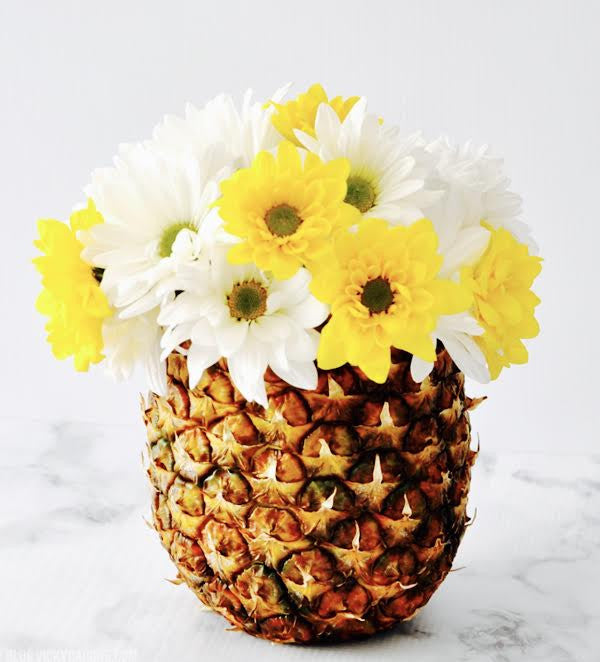 pineapple daisy plant Pineapple of Daisies – D Garden Floratique
