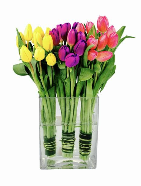 trío de tulipanes