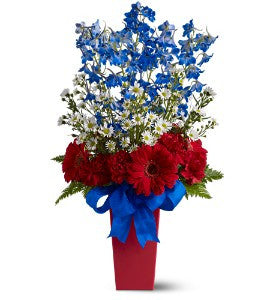 Ramo de fuegos artificiales