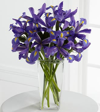 Iris riquezas