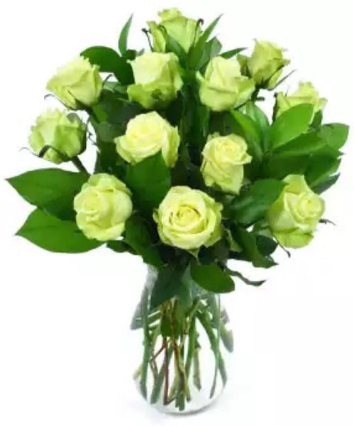 Dozen Green Roses – D Garden Floratique