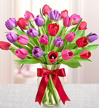 Tulipanes para tu San Valentin