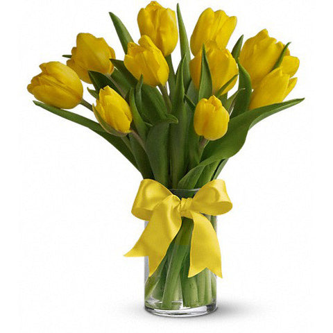Single Color Tulip Vase