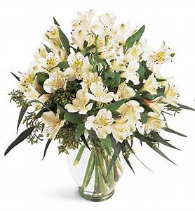 Snowfall Peruvian Lilies